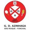 Grupo Desportivo da Azinhaga